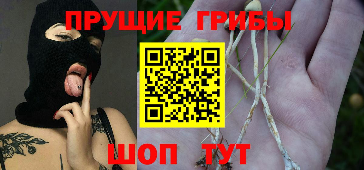 Галлюциногенные грибы мицелий Сафоново